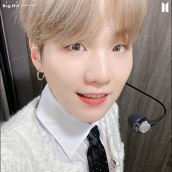 Meet your Posher, Riley - Picture 1 of 1